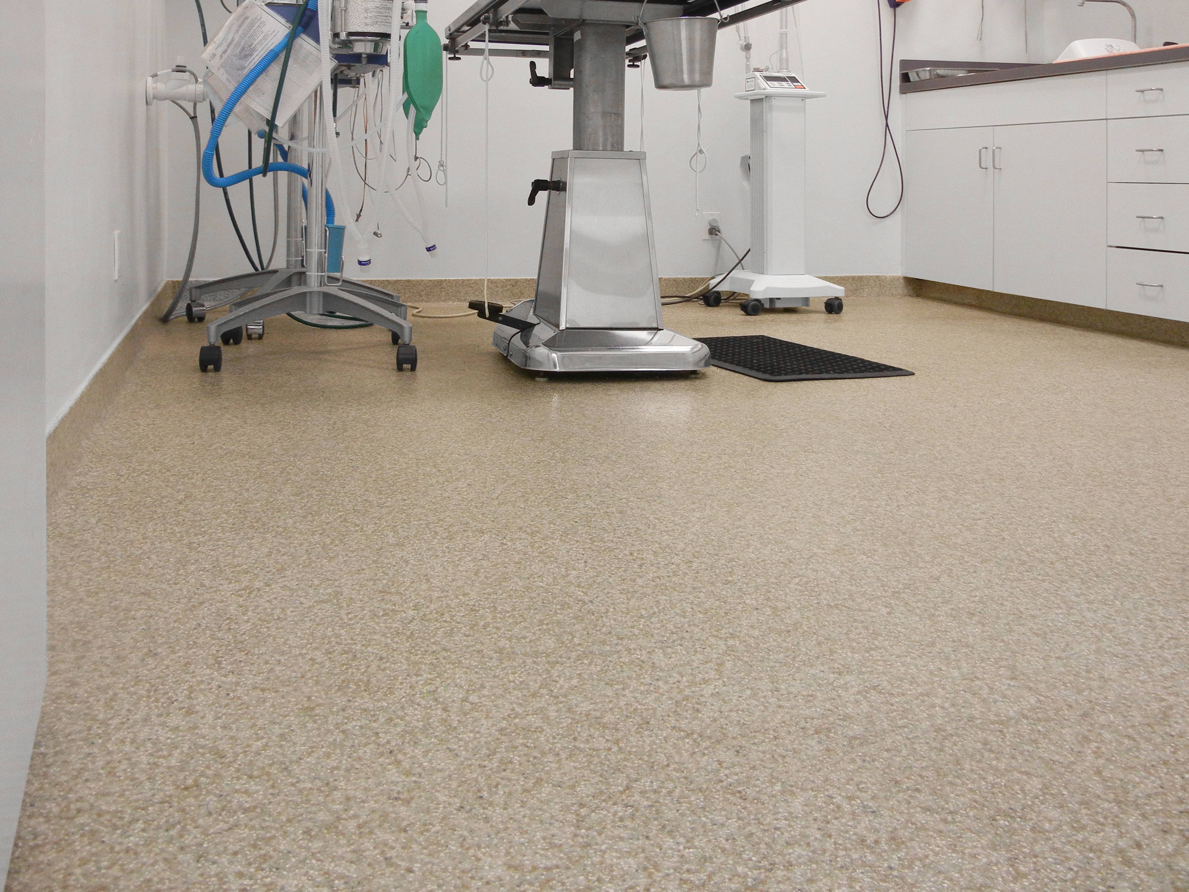 Veterinary Clinic Floor